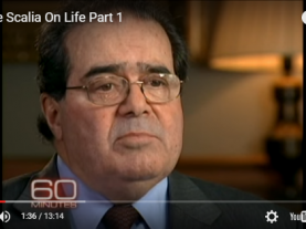 Scalia video image