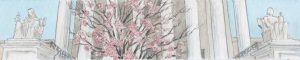cropped-Banner180227.jpg