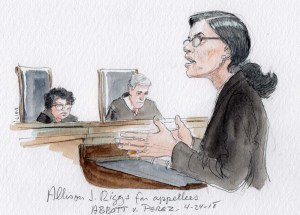 Abbott v. Perez, No.17-586