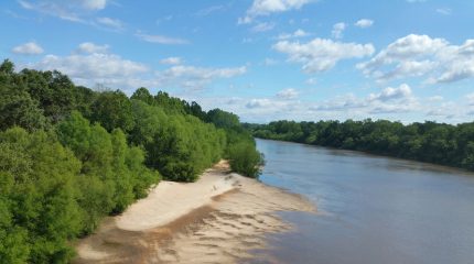 Apalachicola River under blue sky with trees on riverbank