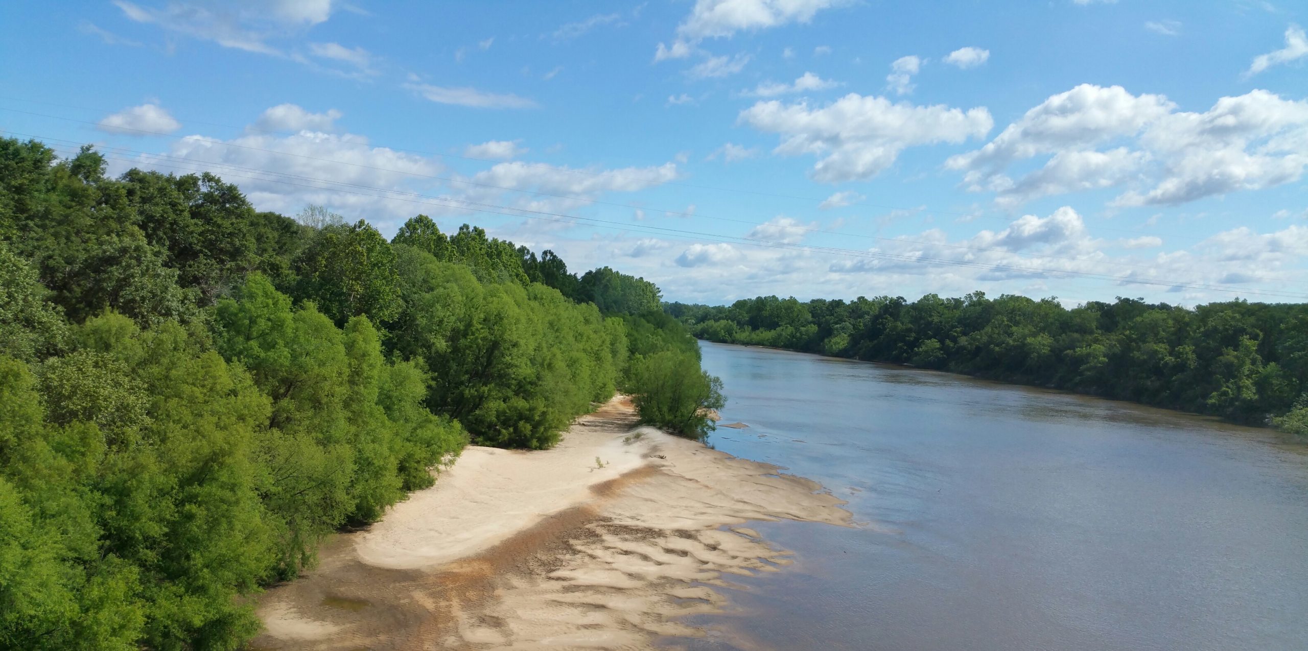 Apalachicola River under blue sky with trees on riverbank