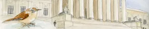 rBanner210204