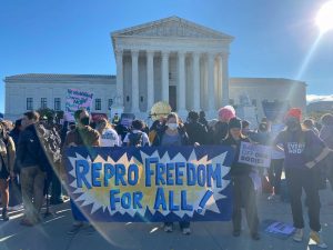 crowd of people holding "Repro Freedom for All" banner in front of Supreme Court building