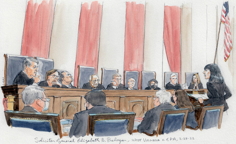 Woman arguing before the nine justices on the bench