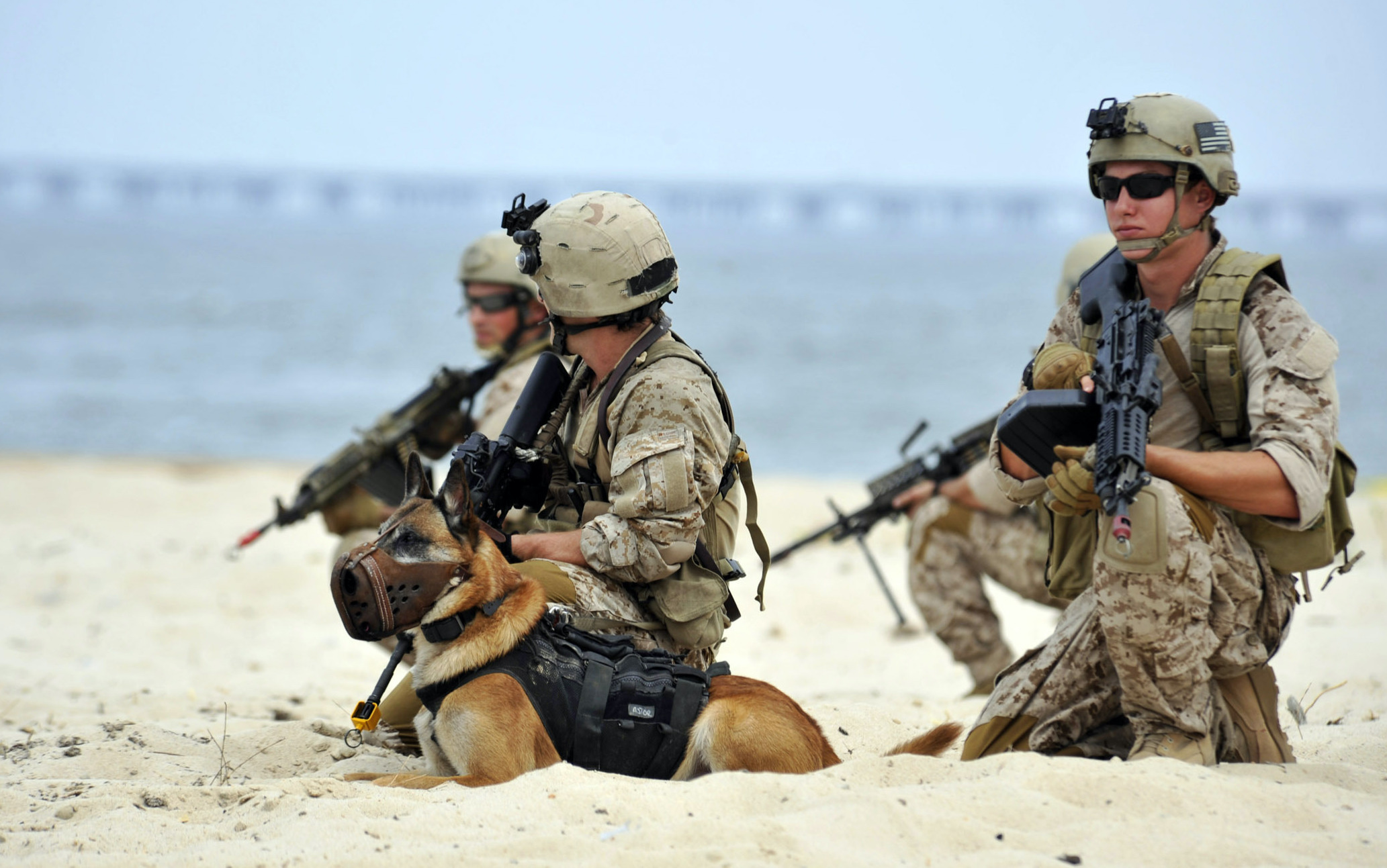 Three navy SEALs with a K-9 kneel in the sand.