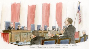 Torres v. Texas Dept. of Public Safety, No.20-603