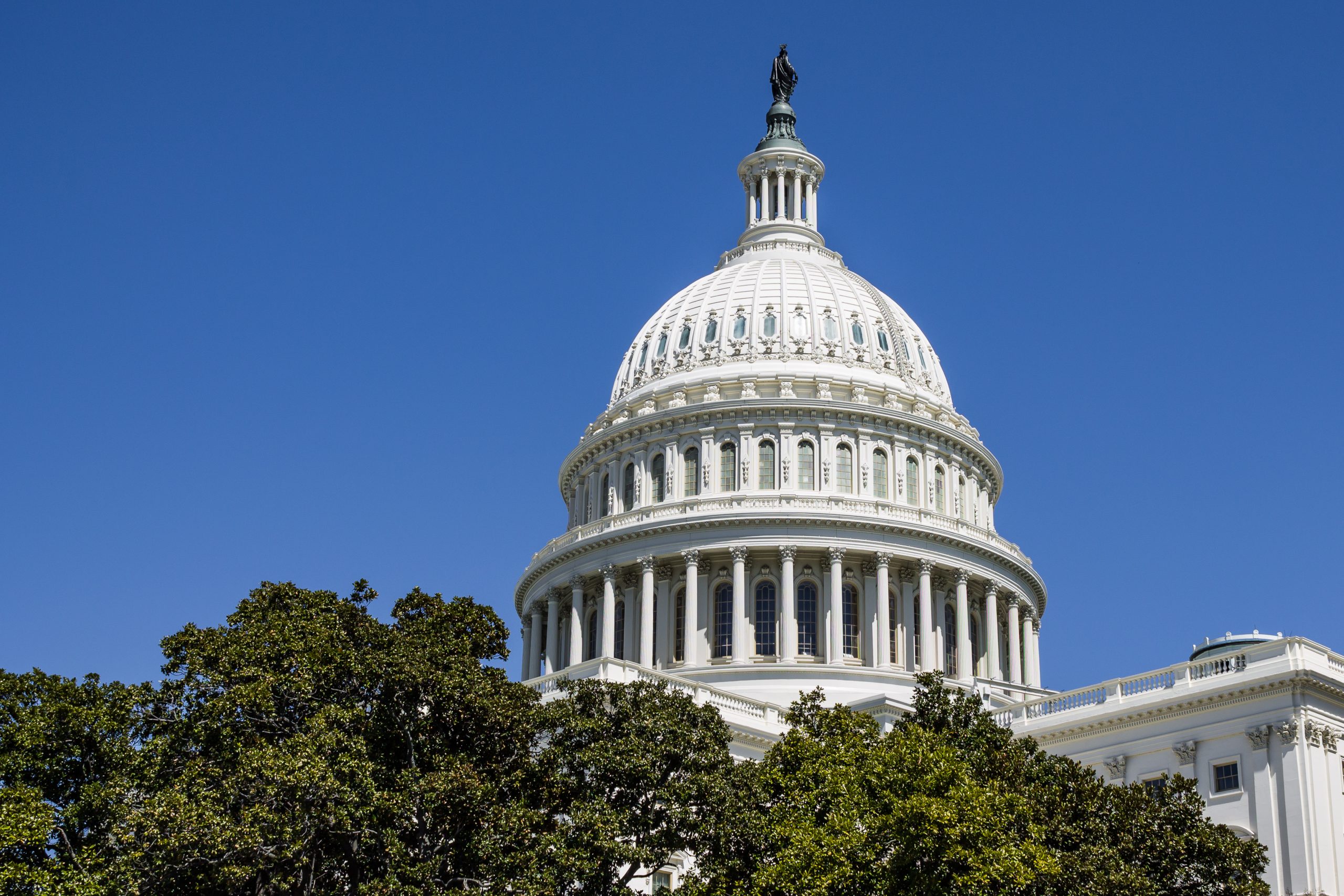 U.S. Capitol dome