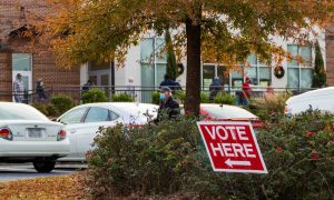 georgia-voting-scaled