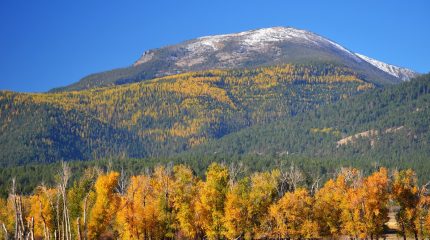 A mountain in fall in Bitterroot National Forest in Montana