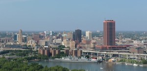 buffalo