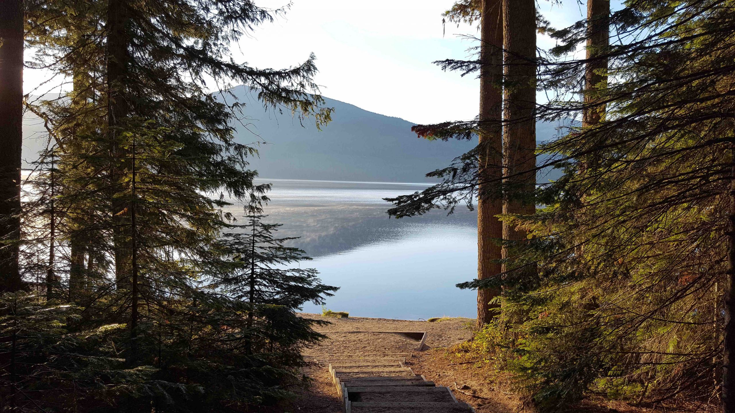 Lake with trees in the foreground