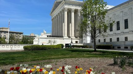 The Supreme Court building with tulips blooming in front